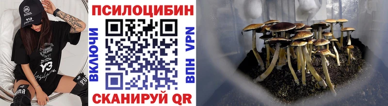 Купить закладки  Николаевск  Псилоцибиновые грибы Cubensis 